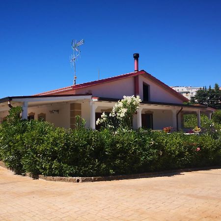비코델가르가노 Da Alduccio B&B 외부 사진